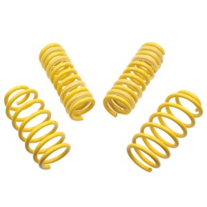 Dodge Magnum Lowering Springs - ST Suspensions - Sport-tech - `05-`08